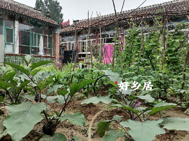 顺义区赵全营镇小院出租