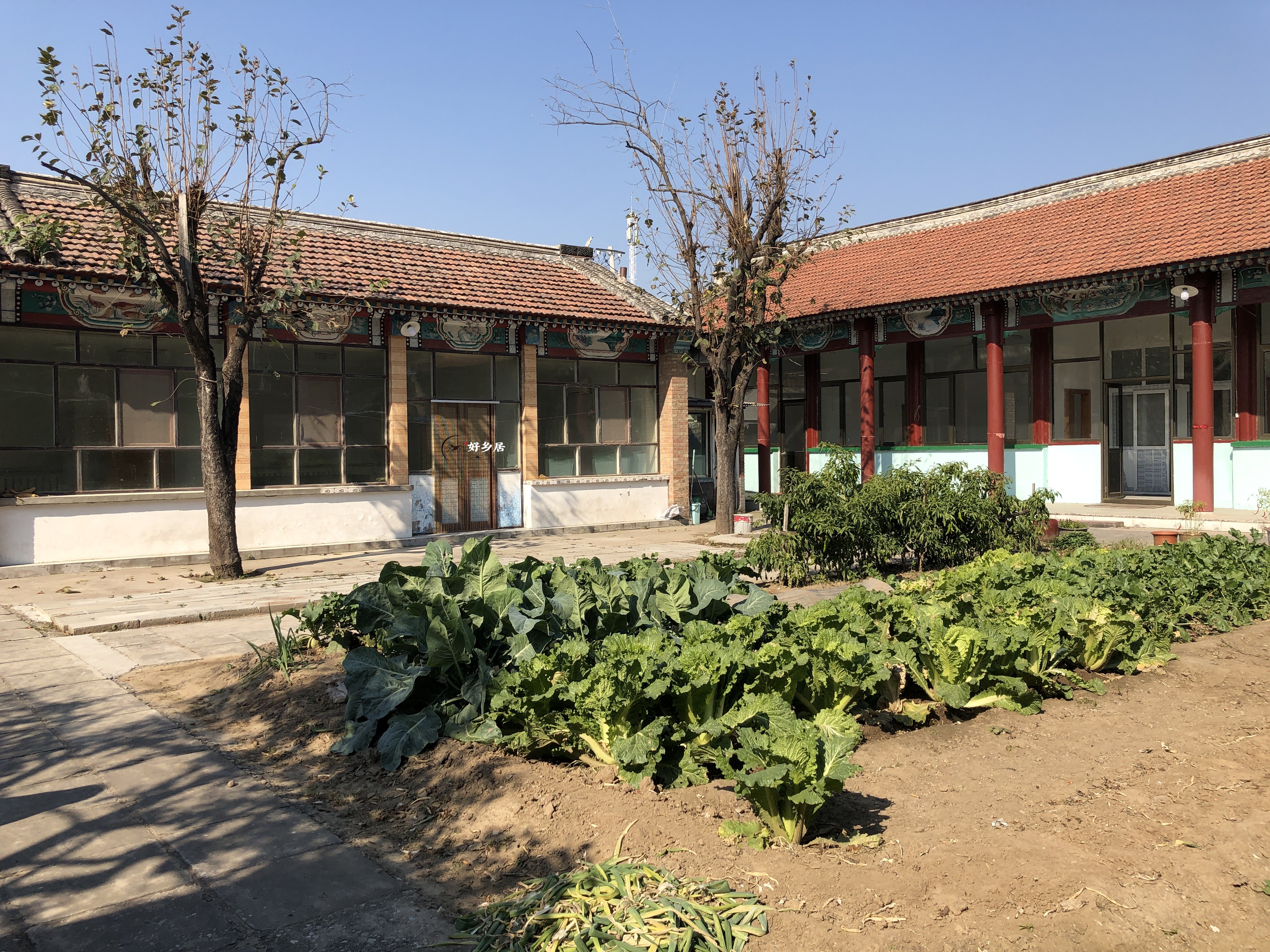 北京顺义区李桥镇农家小院出租近潮白河可种菜